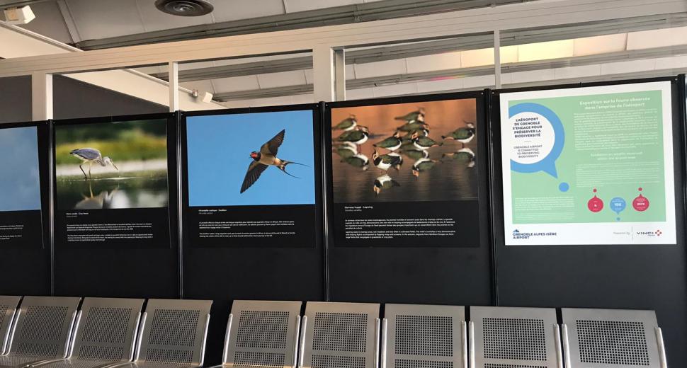 Exposition VINCI Airports sur la biodiversité, aéroport Grenoble Alpes Isère